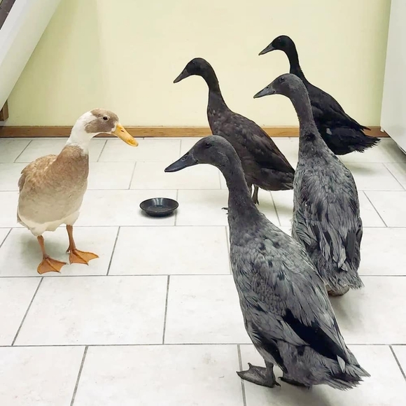 ❤️️ Welcome! Please Read/View ❤️️ About Me ❤️️ - Picture 3 of 4